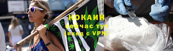 ГАЛЛЮЦИНОГЕННЫЕ ГРИБЫ Аркадак