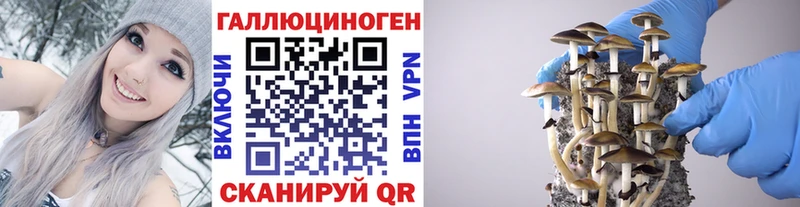 hydra онион  Малая Вишера  Галлюциногенные грибы мицелий 